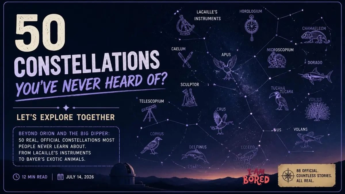 50 Constellations You've Never Heard Of? Let's Explore Together | I Am Bored