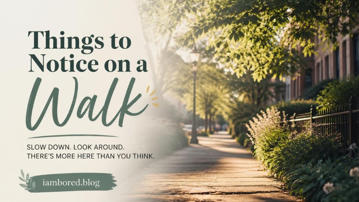 Sunlit tree-lined sidewalk with soft shadows inviting a quiet headphone-free walk